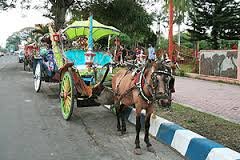 img (129)